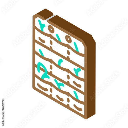 seedling growing bags isometric icon vector. seedling growing bags sign. isolated symbol illustration