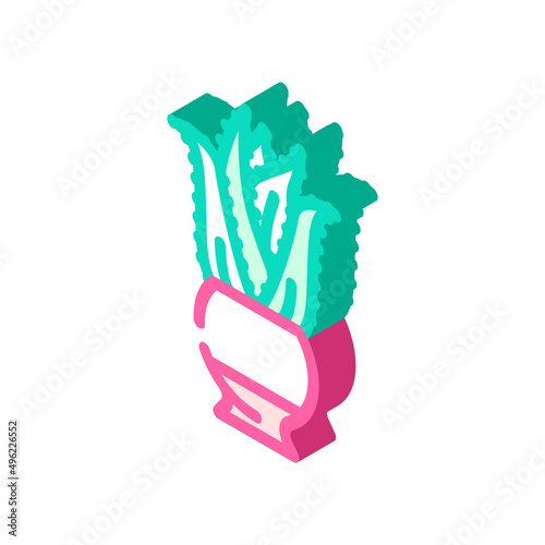 aloe domestic plant isometric icon vector. aloe domestic plant sign. isolated symbol illustration