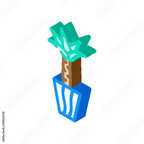 yucca-elephantipes isometric icon vector. yucca-elephantipes sign. isolated symbol illustration