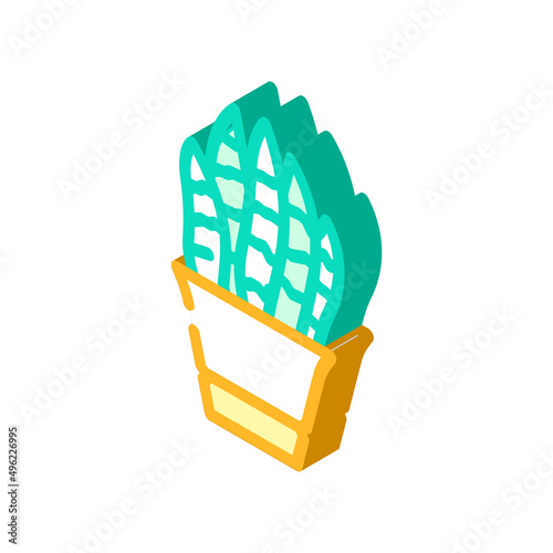 sansevieria trifasciata isometric icon vector. sansevieria trifasciata sign. isolated symbol illustration
