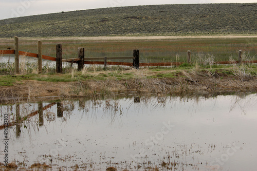 Reflections in water