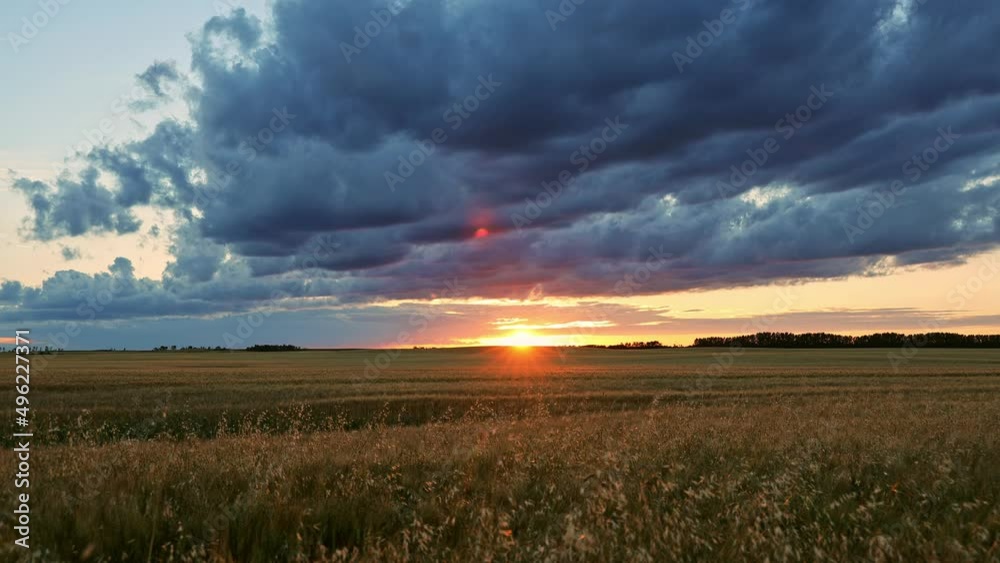 Sunset Timelapse Over The Farmer's Pasture. Agriculture theme

Sunset timelapse over the farmer’s pasture in Alberta’s Prairies, Canada. Blue sky with moving clouds. Canadian Prairies. Western Canada
