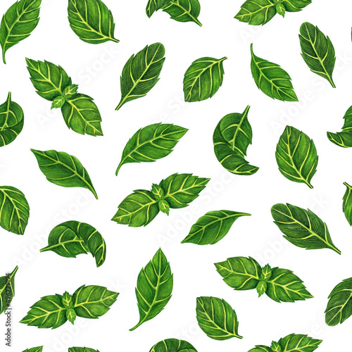 Fresh basil leaves watercolor seamless pattern. Hand drawn illustration on white background. Spicy spring herb, garden seasoning. Botanical backdrop for decorating menu, cafe, wrapping