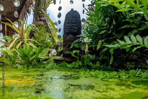 Tiki et bassin de nénuphar en Polynésie française  photo