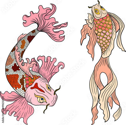 Koi fish vector for printing on shirt on isolated white background.