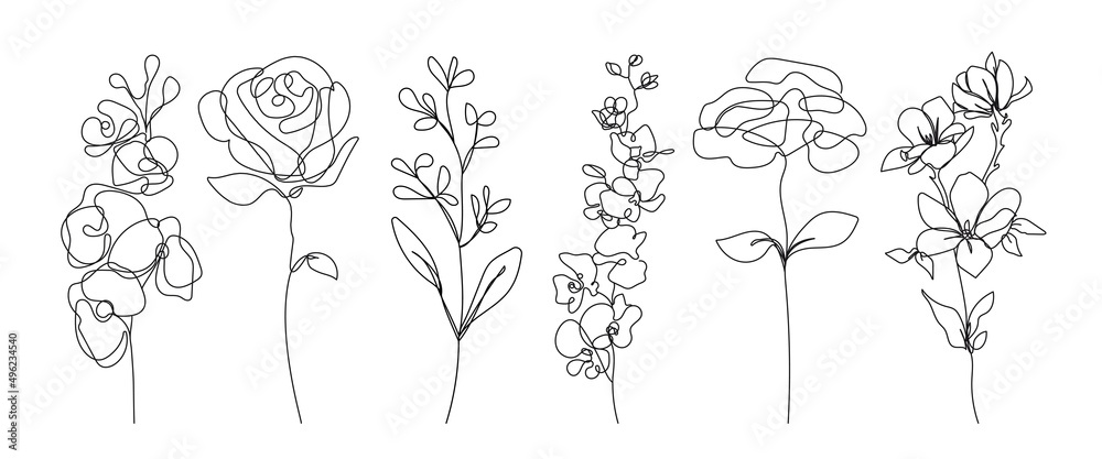 Line Drawing Flowers Set Black Sketch Isolaned on White Background. Botanical Line Art of Wildflower Floral Drawing for Minimalist Wall Decor, Wall Art, Prints, Invitations. Vector EPS 10 Line Drawing Flowers Set Black Sketch Isolaned on White Background. Botanical Line Art of Wildflower Floral Drawing for Minimalist Wall Decor, Wall Art, Prints, Invitations. Vector EPS 10
