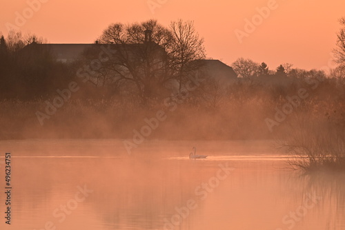 Nebliger Sonnenaufgang im Vogelschutzgebiet NSG Garstadt bei Heidenfeld, Schweinfurt, Franken, Bayern, Deutschland