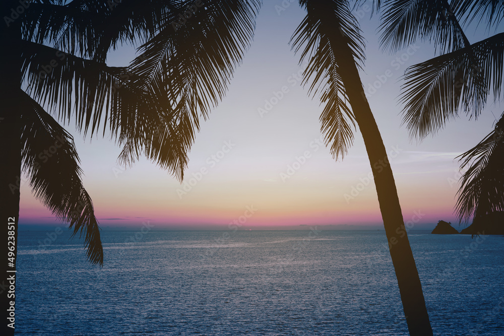 Landscape view Coconut trees during sunset pink fantastic colorful sky background.