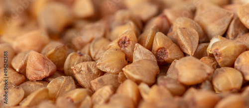 Close-up of buckwheat groats as background.