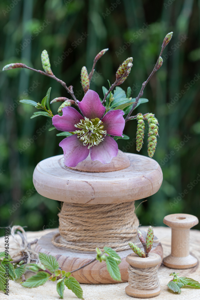 kleiner Blumenstrauß mit LenzrosenBlüte und Zweigen im Holz