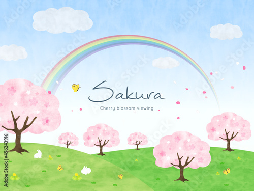 春　満開の桜と虹　イラスト素材