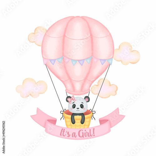 Cute panda on pink hot air balloon baby gender reveal. Watercolor style vector