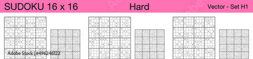 A set of 3 hard scalable sudoku 16x16 puzzles suitable for kids, adults and seniors and ready for web use, or to be compiled into a standard or large print activity book.