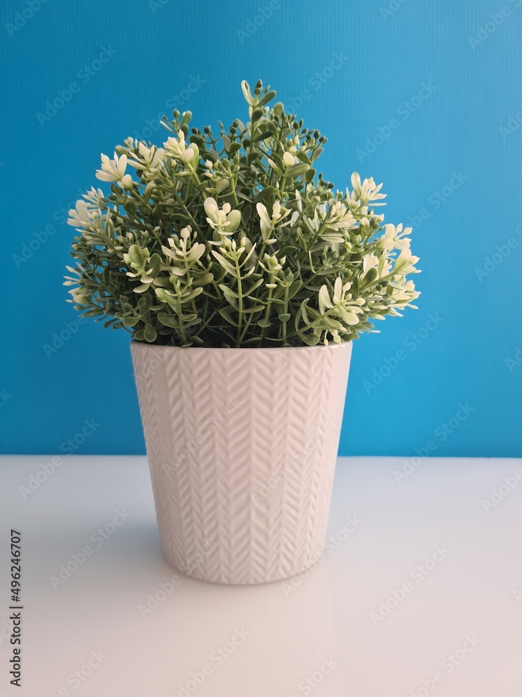 Flowerpot with green flowers and white pistils on a blue background