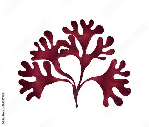 Seaweed Flat Illustration