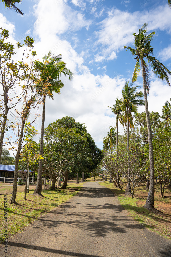a pave road in the forest and farm
