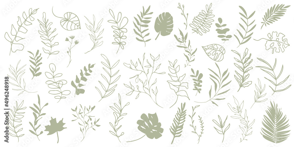 Hand drawn colorful plant set - universally usable. Flower branch and minimalistic modern plants. Hand drawn lines, elegant leaves for your own design. Botanical, chic and trendy plants. Hand drawn colorful plant set - universally usable. Flower branch and minimalistic modern plants. Hand drawn lines, elegant leaves for your own design. Botanical, chic and trendy plants.