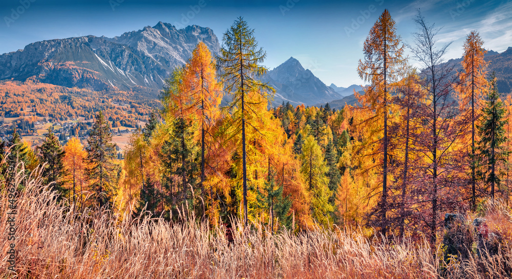 Colorful autumn view of outskirts of Cortina d'Ampezzo town. Astonishing morning view of Dolomite Alps. Magnificent outdoor scene of Italy, Europe. Traveling concept background.
