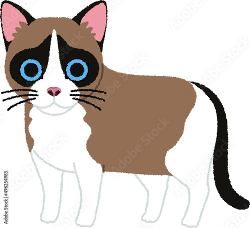 スノーシューの猫イラスト