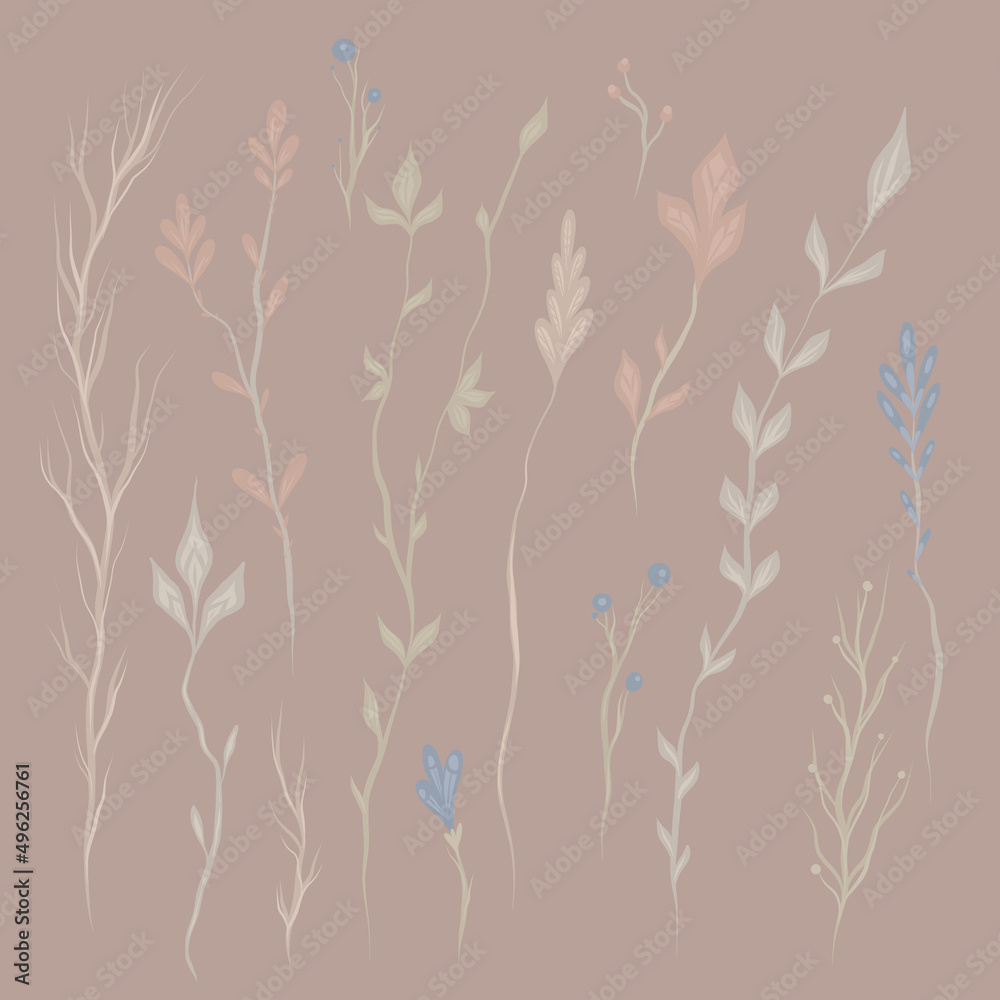 Vector set of delicate twigs and stems with foliage on a dark background. Kit with hand drawn wild herbs. Nature clipart