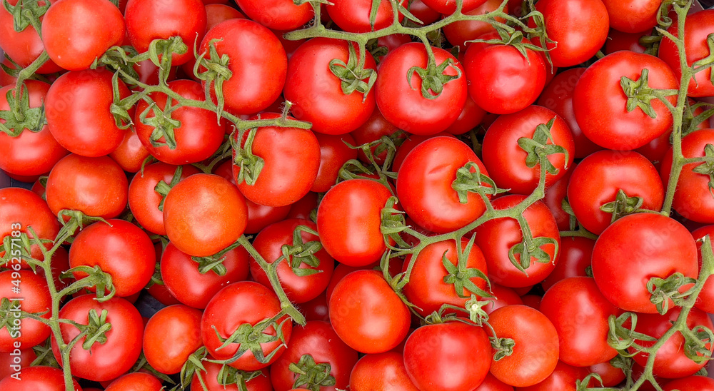 fresh fragrant tomatoes from the branch