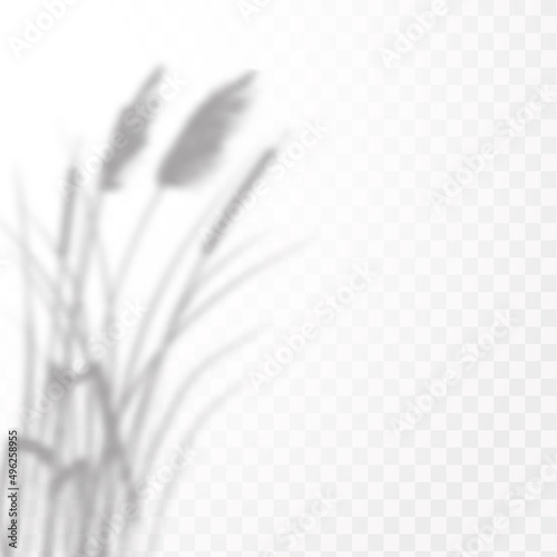Realistic shadow tropical leaves and branches on transparent checkered background. The effect of overlaying shadows. Natural light layout.