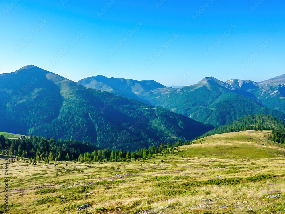 A hiking trail in the high mountain peaks. Lush green grass covers the slopes. Some crocuses are blossoming. Spring in the mountains. Thick forest growing in the lower parts. Beautiful day.