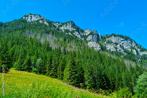 Photography Beautiful scenic view of the green mountains on a sunny day.