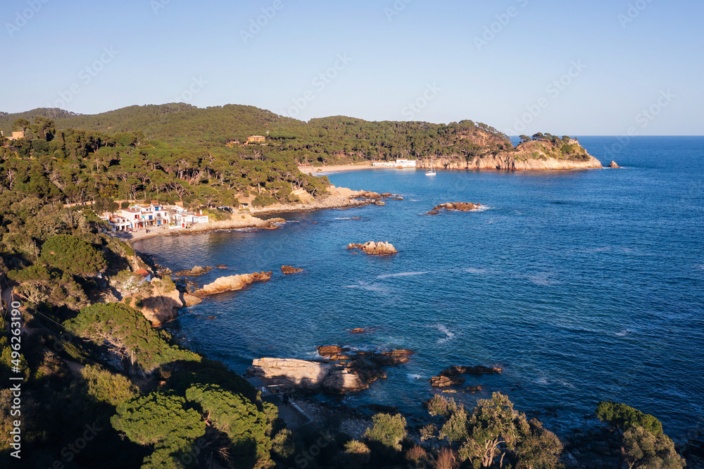 coastline with pine forests reaching to the sea