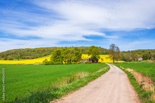 Gravel road to a farm in a rural landscape view
