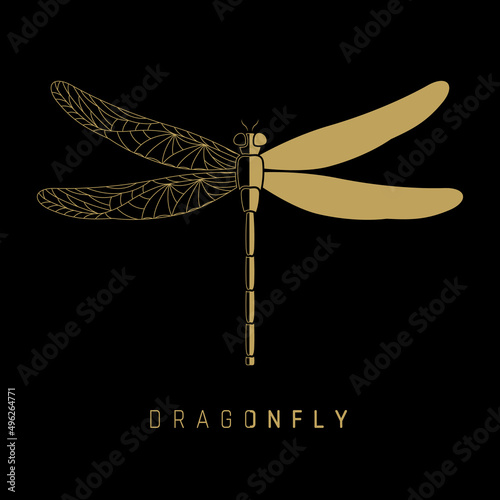 Elegant golden dragonfly. Vector illustration.