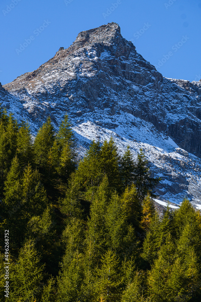 Obraz premium The mountains and the beauty of nature and woods of the Spluga valley: a tourist area in the Italian Alps, near the town of Campodolcino - September 2021.