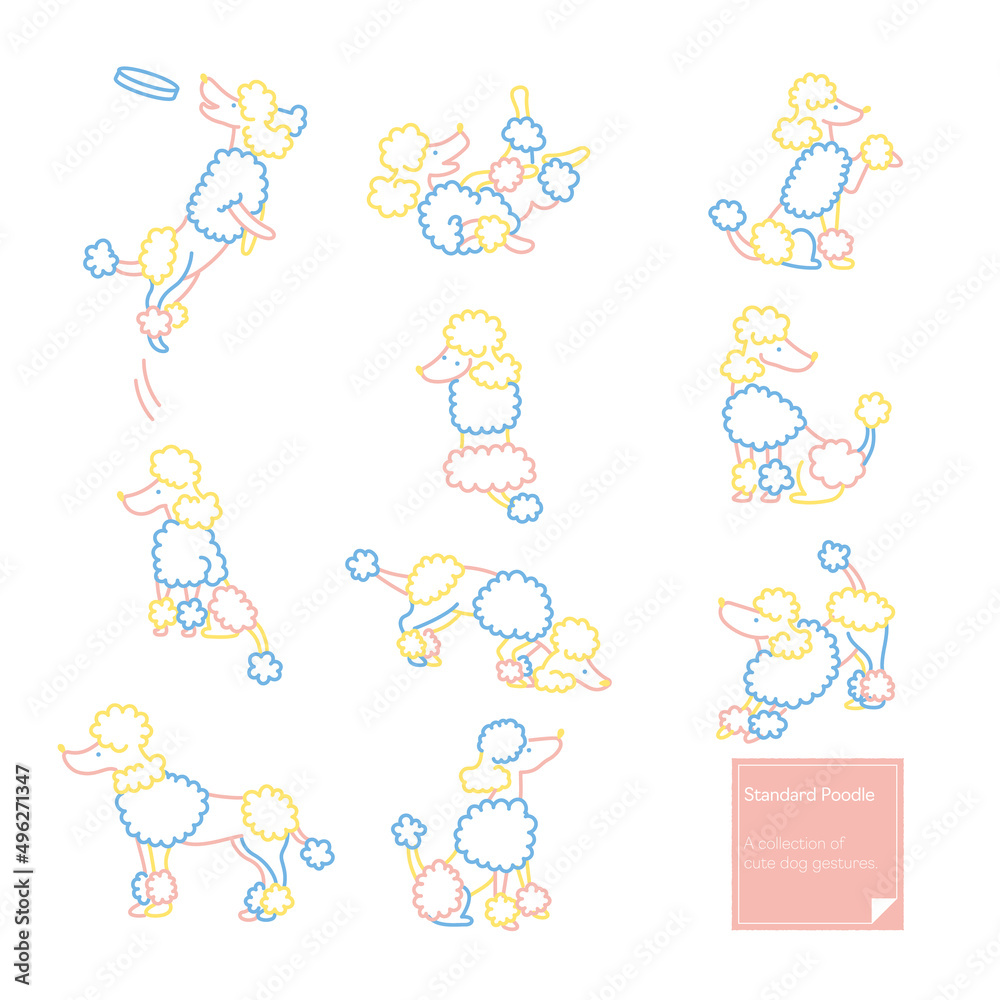 スタンダードプードル ナチュラル線画イラスト スタンダードプードル ナチュラル線画イラスト