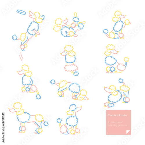 スタンダードプードル　ナチュラル線画イラスト