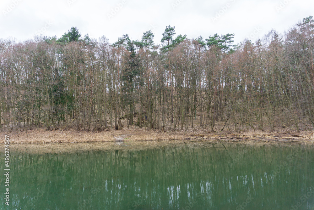 Obraz premium Idyllic view on 66-Seenwanderweg, Gamengrund, Germany, on a day in early spring