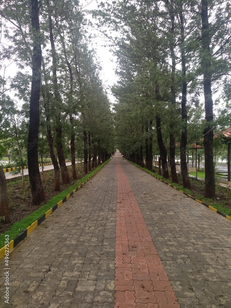 Fototapeta premium SMS PICS