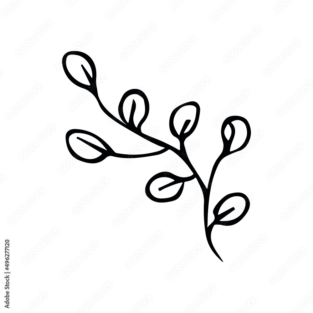 Hand drawn vector branch clipart. Herb illustration isolated on white background. Botanical doodle for print, web, design, decor, logo. Hand drawn vector branch clipart. Herb illustration isolated on white background. Botanical doodle for print, web, design, decor, logo.