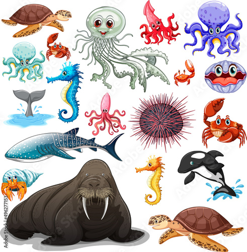 Different types of sea animals