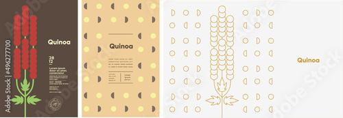 Quinoa. Food and natural products. Set of vector illustrations. Geometric, simple, linear style. Label, cover, price tag, background.