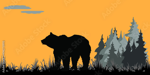 silhouette of a bear on the background of the forest vector image