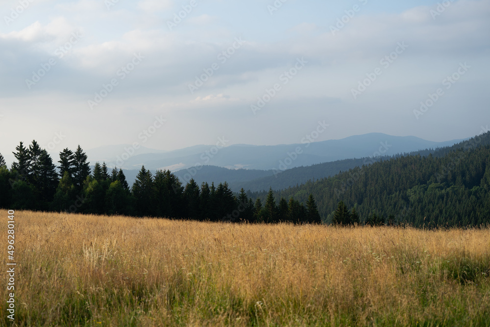 Fototapeta premium Polish mountains