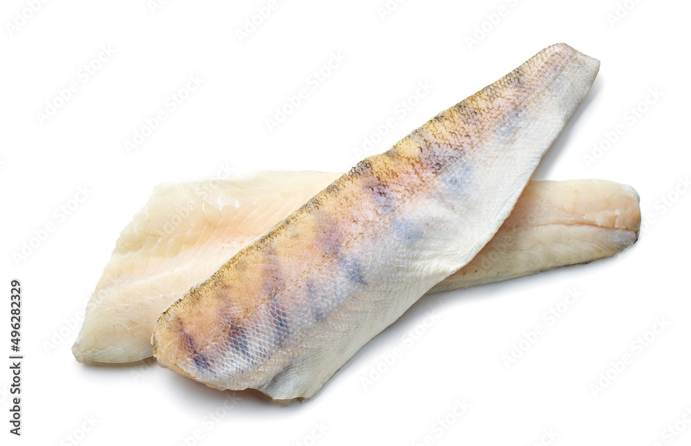 fresh raw zander filet fresh raw zander filet