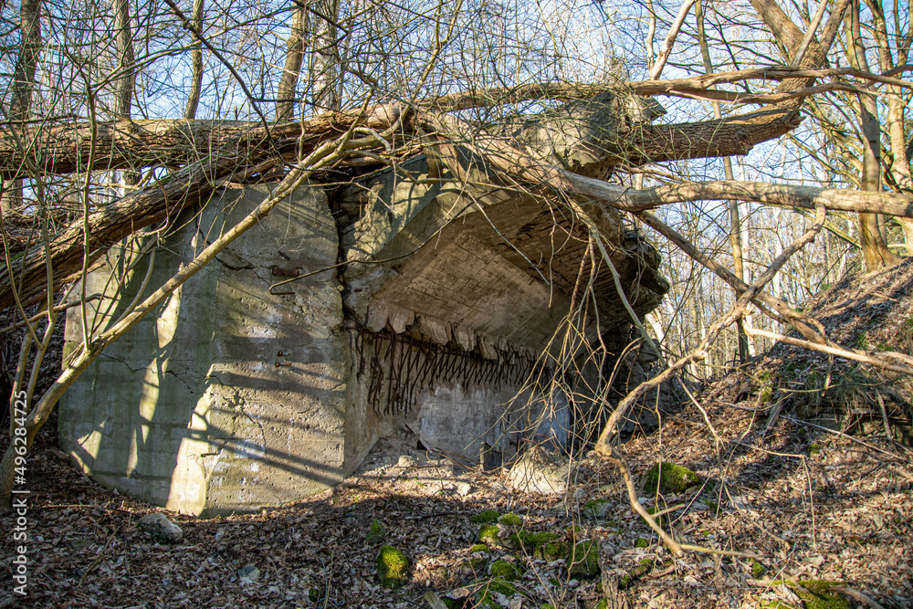 Mit dem Wald verwachsene Ruine der Dynamitfabrik Krümmel Geesthacht Mit dem Wald verwachsene Ruine der Dynamitfabrik Krümmel Geesthacht
