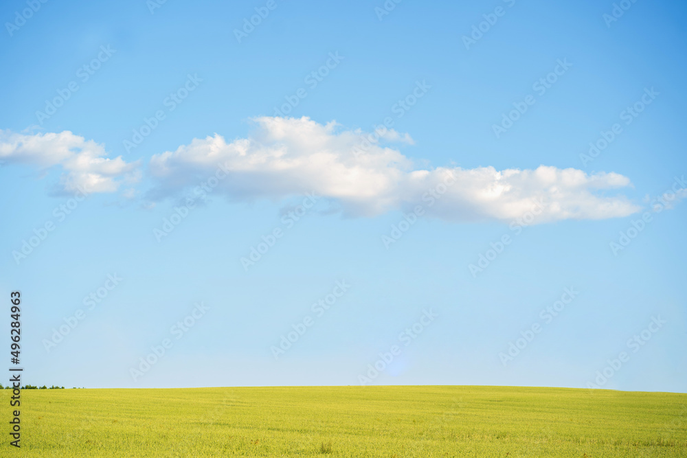 Natural background from green field in summer and clouds Natural background from green field in summer and clouds