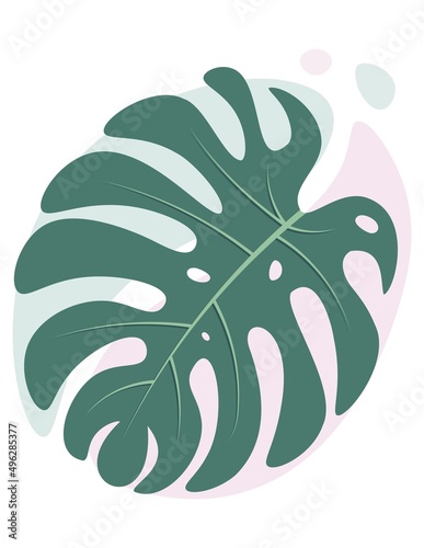 Botanical wall art vector with monstera leaves. Clip art of palm tree foliage. Minimalistic natural vector isolated illustration with pastel spots.