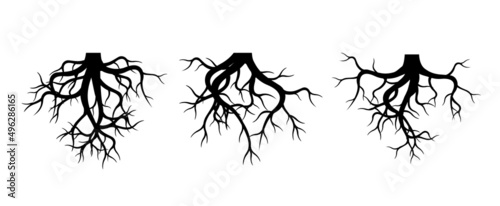 Collection of Tree Roots. Vector outline Illustration. Plant in Garden.