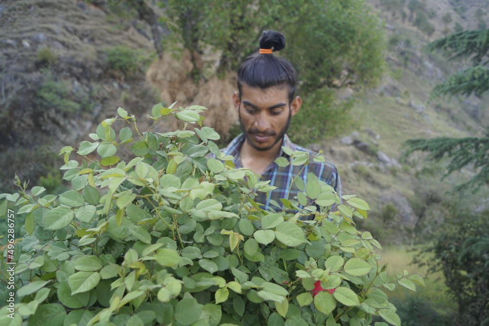 person with a flower