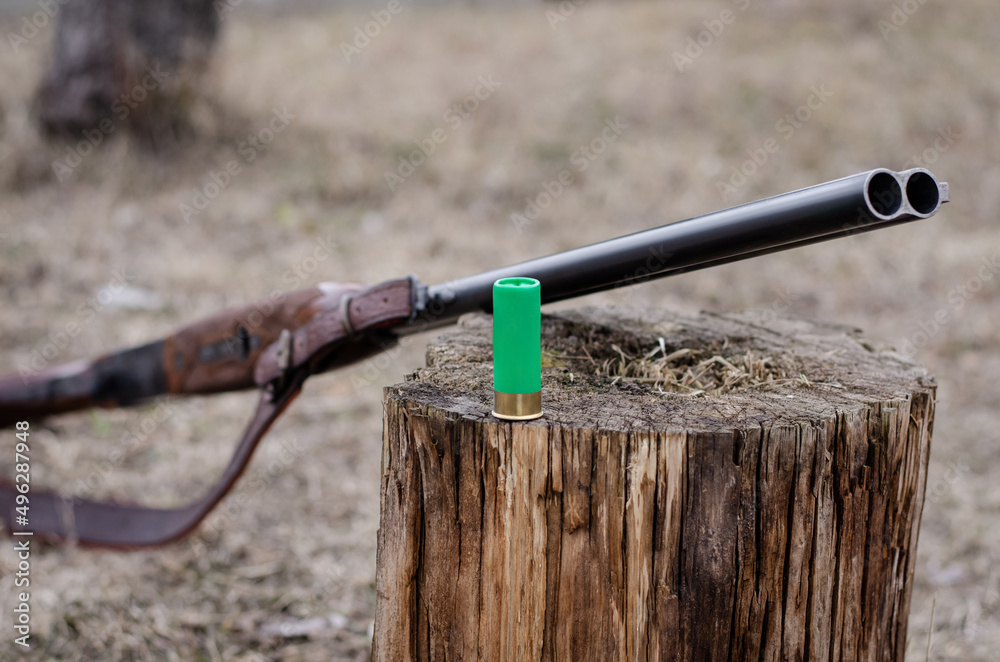 Naklejka premium shotgun shell on wooden stump near rifle in woods.
