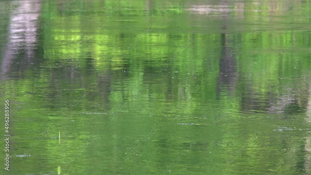 Reflection of the green foliage of trees in the waves of water in the river. Reflection of the green foliage of trees in the waves of water in the river.