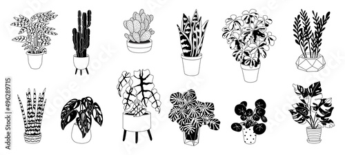 Collection home plants in the modern flowerpots. Beautiful composition with nature elements in the interior. Design for home and office. Hand drown. Flat style in vector illustration.